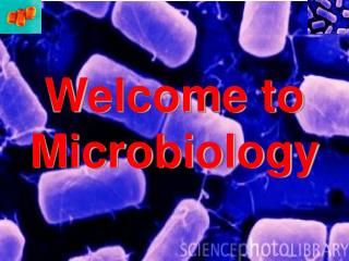 Welcome to Microbiology