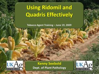 Using Ridomil and Quadris Effectively Tobacco Agent Training – June 19, 2009