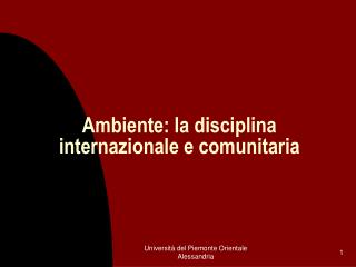 Ambiente: la disciplina internazionale e comunitaria