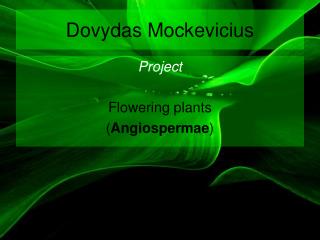 Dovydas Mockevicius