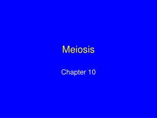 Meiosis