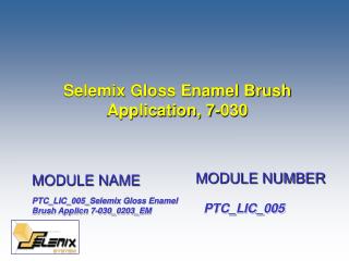 Selemix Gloss Enamel Brush Application, 7-030
