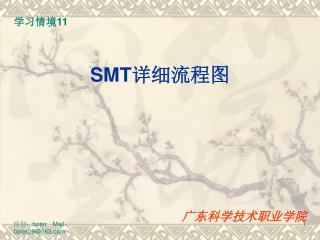 SMT 详细流程图