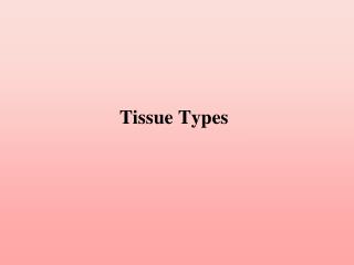 Tissue Types