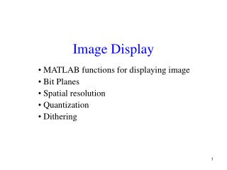 Image Display