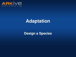 Adaptation