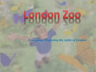 London Zoo