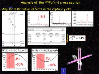 Analysis of the 206 Pb(n, g ) cross section