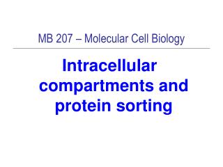 MB 207 – Molecular Cell Biology