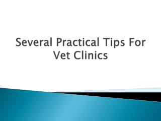 Several Practical Tips For Vet Clinics