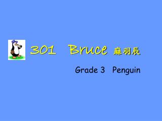 301 Bruce 麻羽辰