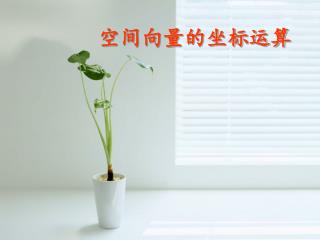 空间向量的坐标运算