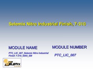 Selemix Nitro Industrial Finish, 7-310