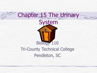 Chapter 15 The Urinary System