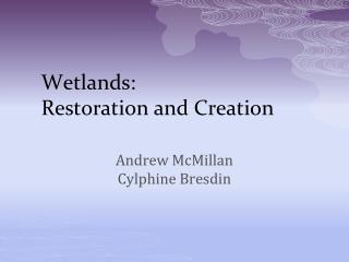 Wetlands: Restoration and Creation