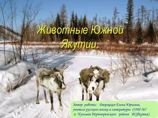 Животные Южной Якутии .