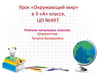 Урок «Окружающий мир» в 3 «А» классе, ЦО №497.