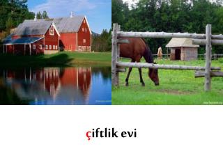 ç iftlik evi