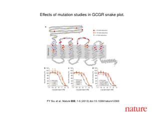 FY Siu et al. Nature 000 , 1-6 (2013) doi:10.1038/nature12393