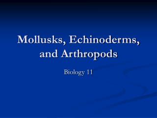 Mollusks, Echinoderms, and Arthropods