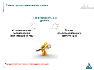 Оценка профессионального уровня