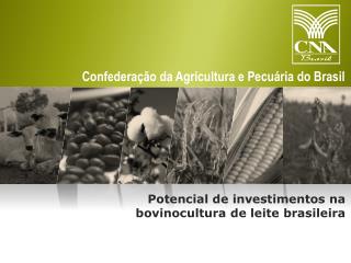 Potencial de investimentos na bovinocultura de leite brasileira