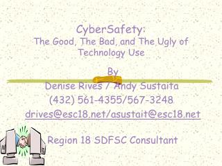 CyberSafety: The Good, The Bad, and The Ugly of Technology Use