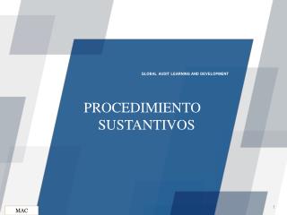 PROCEDIMIENTO SUSTANTIVOS