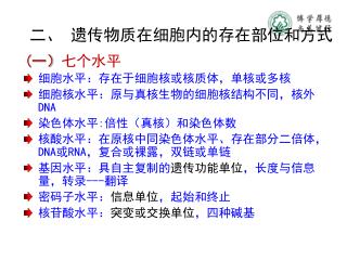 ( 一） 七个水平 细胞水平：存在于细胞核或核质体，单核或多核 细胞核水平：原与真核生物的细胞核结构不同，核外 DNA 染色体水平 : 倍性（真核）和染色体数