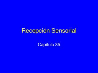 Recepción Sensorial