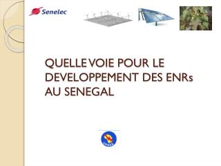 QUELLE VOIE POUR LE DEVELOPPEMENT DES ENRs AU SENEGAL