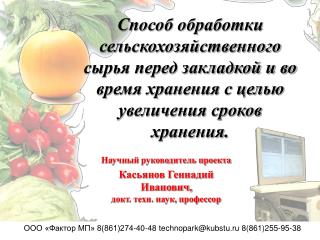 Научный руководитель проекта Касьянов Геннадий Иванович, докт. техн. наук, профессор