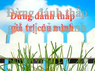 Đừng đánh thấp giá trị của mình
