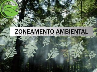 ZONEAMENTO AMBIENTAL