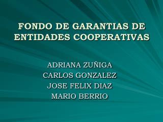 FONDO DE GARANTIAS DE ENTIDADES COOPERATIVAS