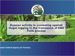 Russian activity in combating against illegal logging in the framework of ENA FLEG process