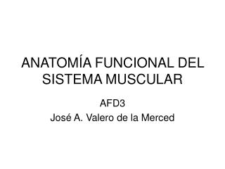 ANATOMÍA FUNCIONAL DEL SISTEMA MUSCULAR