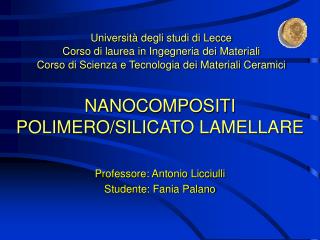 NANOCOMPOSITI POLIMERO/SILICATO LAMELLARE