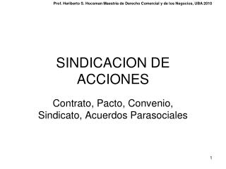 SINDICACION DE ACCIONES