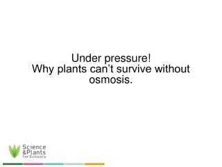 Under pressure! Why plants can’t survive without osmosis.