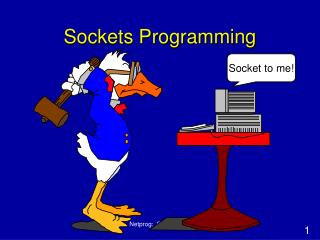 Sockets Programming