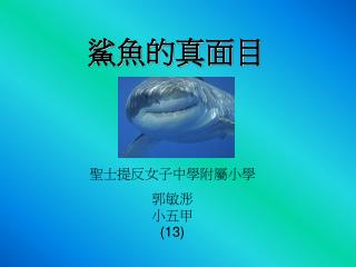 鯊魚的真面目