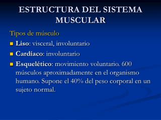 ESTRUCTURA DEL SISTEMA MUSCULAR