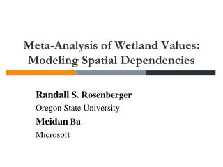 Meta-Analysis of Wetland Values: Modeling Spatial Dependencies