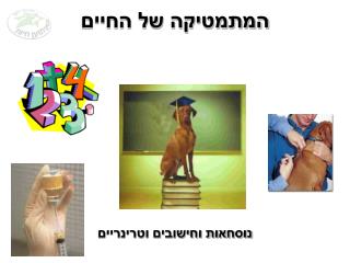 המתמטיקה של החיים