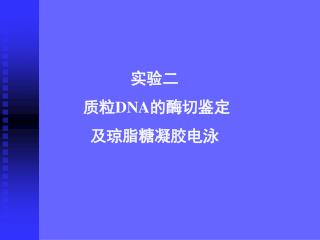 实验二 质粒 DNA 的酶切鉴定 及琼脂糖凝胶电泳