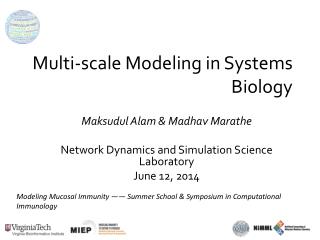 Multi-scale Modeling in Systems Biology