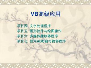 VB 高级应用