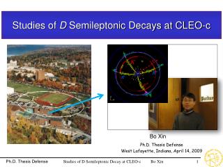 Studies of D Semileptonic Decays at CLEO-c