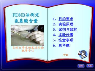 FDNB 法测定 氨基酸含量